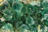 Gemmy Green Fluorite Cluster - Okorusu Mine, Namibia #281678-1